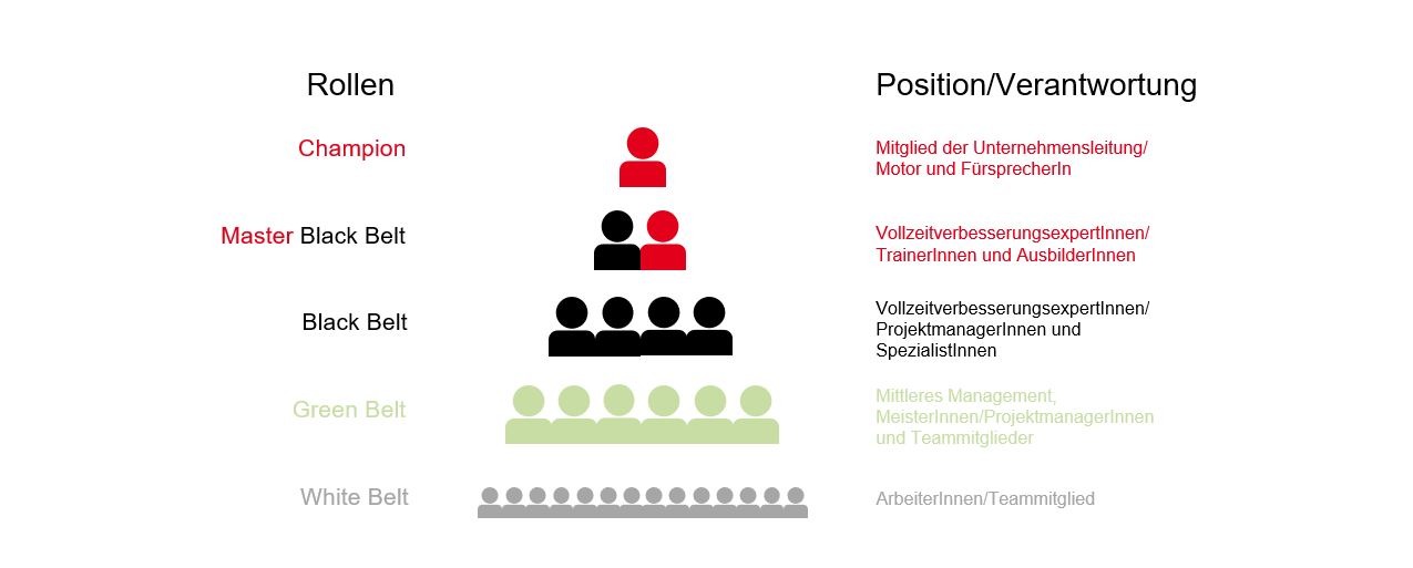 PMCC Grafik Six Sigma Rollen