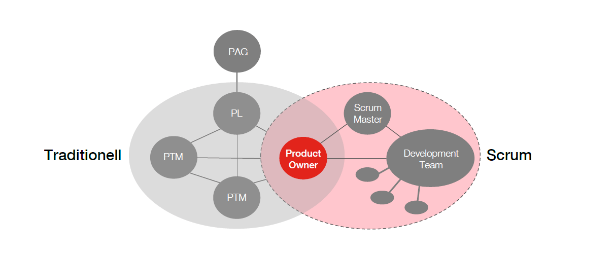 PMCC Agile Organisationsentwicklung: Projektorganigramm im hybriden Projektmanagement
