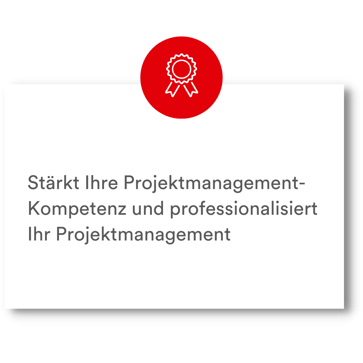 PMCC Projektcoaching Vorteil 5