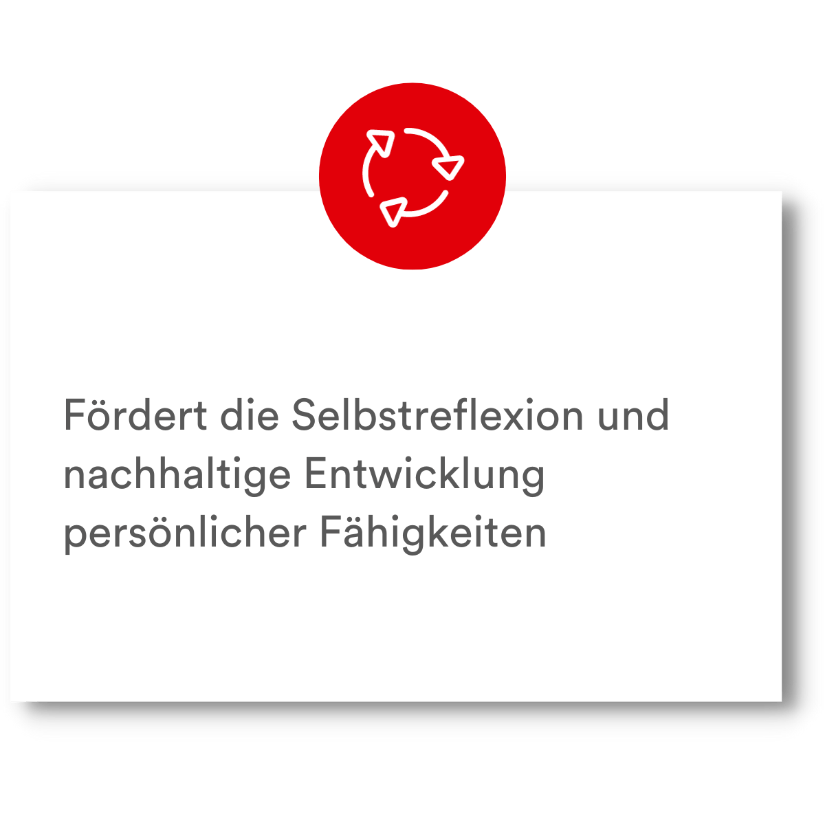 PMCC Business Coaching Vorteil 2
