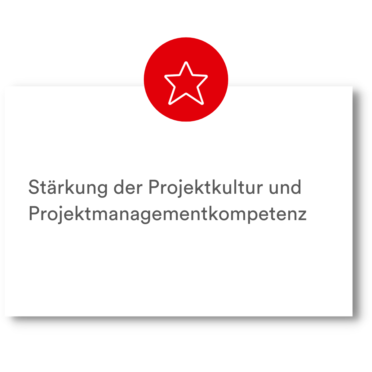 PMCC Vorteile Projektmanagement Richtlinien 6